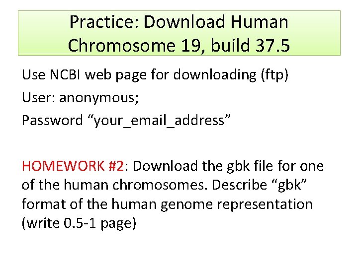 Practice: Download Human Chromosome 19, build 37. 5 Use NCBI web page for downloading