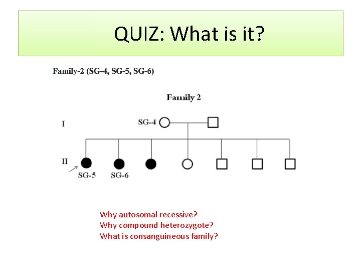 QUIZ: What is it? Why autosomal recessive? Why compound heterozygote? What is consanguineous family?