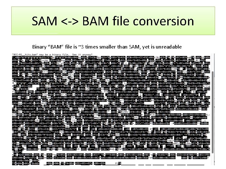 SAM <-> BAM file conversion Binary “BAM” file is ~3 times smaller than SAM,
