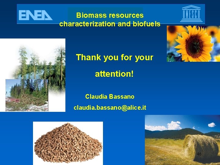 Biomass resources characterization and biofuels Thank you for your attention! Claudia Bassano claudia. bassano@alice.