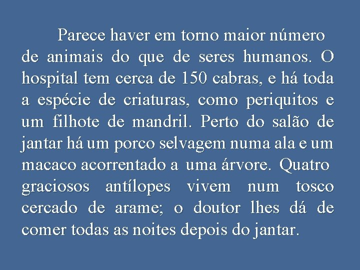 Parece haver em torno maior número de animais do que de seres humanos. O