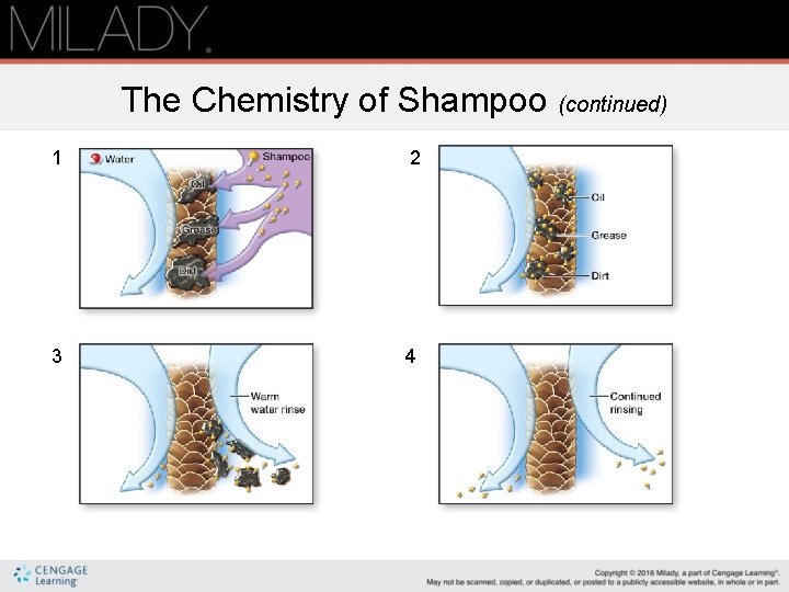 The Chemistry of Shampoo (continued) 1 2 Oil Grease Dirt 3 4 