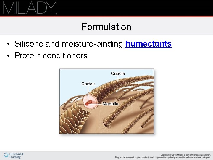 Formulation • Silicone and moisture-binding humectants • Protein conditioners 