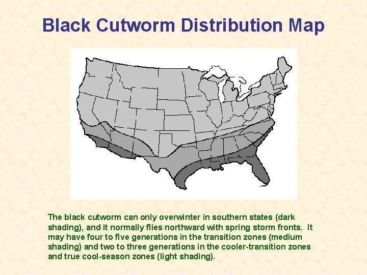 Black Cutworm Distribution Map The black cutworm can only overwinter in southern states (dark