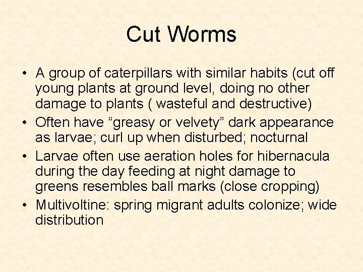 Cut Worms • A group of caterpillars with similar habits (cut off young plants