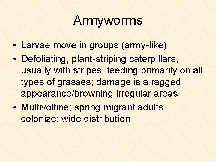 Armyworms • Larvae move in groups (army-like) • Defoliating, plant-striping caterpillars, usually with stripes,