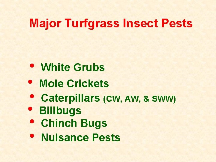 Major Turfgrass Insect Pests • White Grubs • Mole Crickets • Caterpillars (CW, AW,