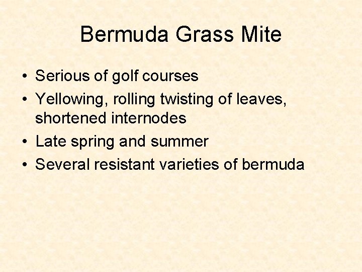 Bermuda Grass Mite • Serious of golf courses • Yellowing, rolling twisting of leaves,