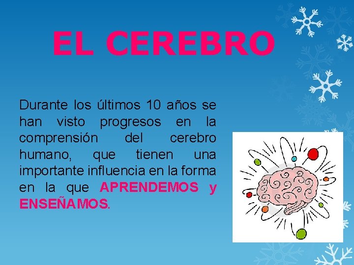 EL CEREBRO Durante los últimos 10 años se han visto progresos en la comprensión