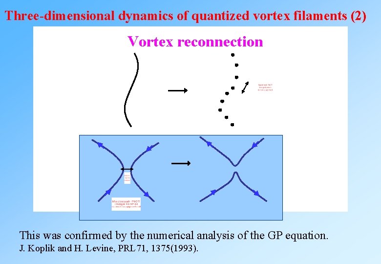 Three-dimensional dynamics of quantized vortex filaments (2) Vortex reconnection This was confirmed by the Three-dimensional dynamics of quantized vortex filaments (2) Vortex reconnection This was confirmed by the