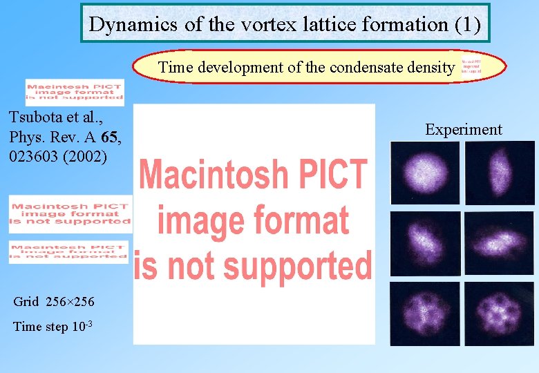 Dynamics of the vortex lattice formation (1) Time development of the condensate density Tsubota Dynamics of the vortex lattice formation (1) Time development of the condensate density Tsubota