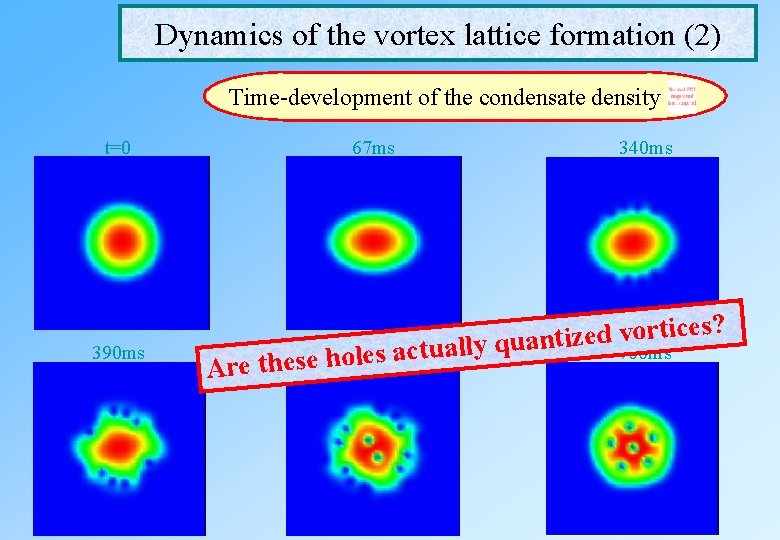 Dynamics of the vortex lattice formation (2) Time-development of the condensate density t=0 390 Dynamics of the vortex lattice formation (2) Time-development of the condensate density t=0 390