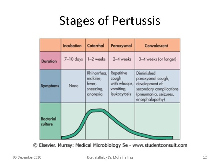 Stages of Pertussis 05 December 2020 Bordetella by Dr. Mohsina Haq 12 