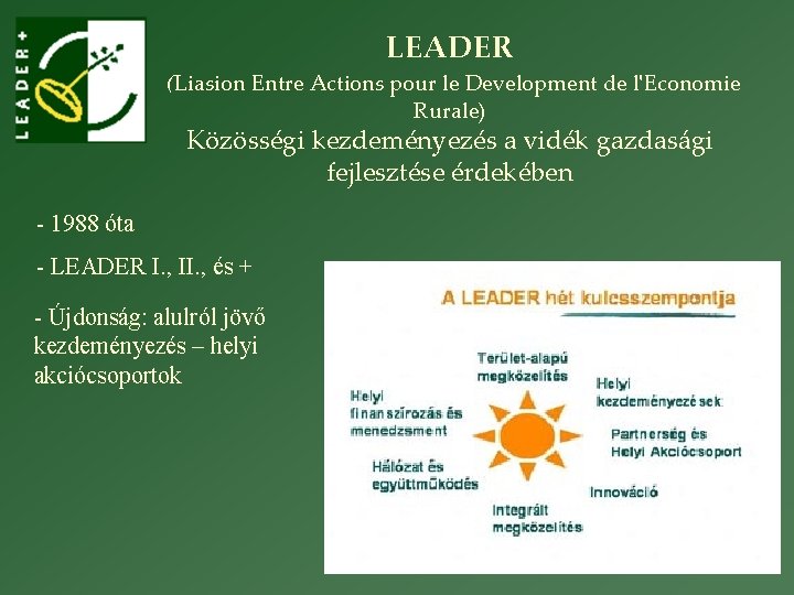 LEADER (Liasion Entre Actions pour le Development de l'Economie Rurale) Közösségi kezdeményezés a vidék