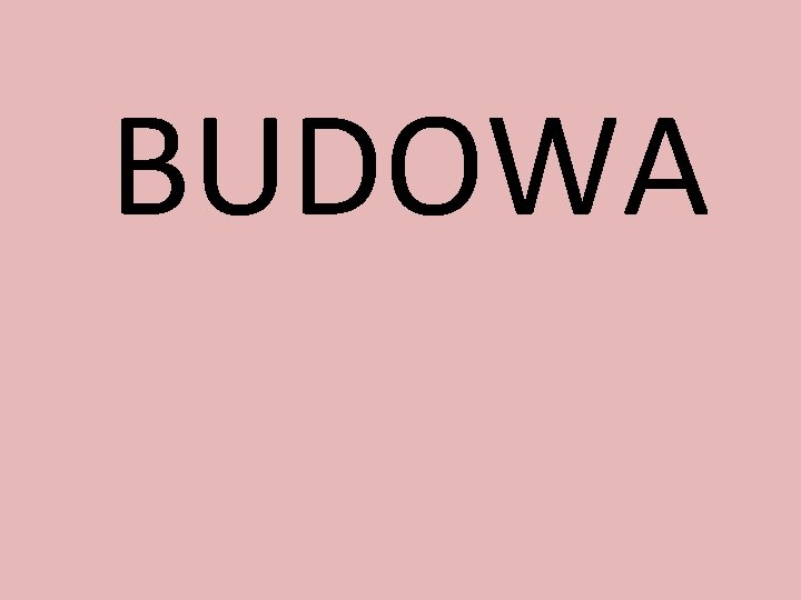 BUDOWA 