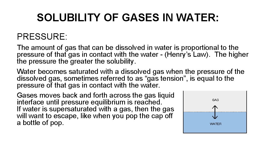 SOLUBILITY OF GASES IN WATER: PRESSURE: The amount of gas that can be dissolved