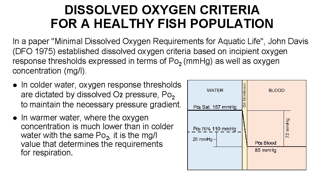 DISSOLVED OXYGEN CRITERIA FOR A HEALTHY FISH POPULATION In a paper "Minimal Dissolved Oxygen