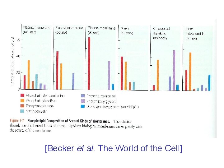 [Becker et al. The World of the Cell] 
