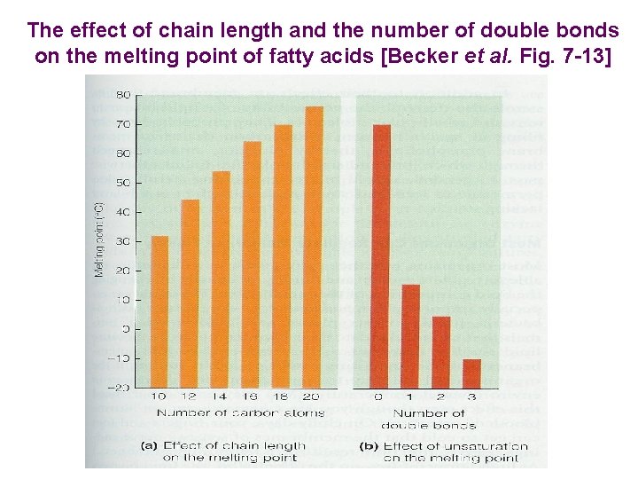 The effect of chain length and the number of double bonds on the melting