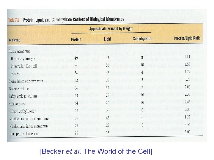 [Becker et al. The World of the Cell] 