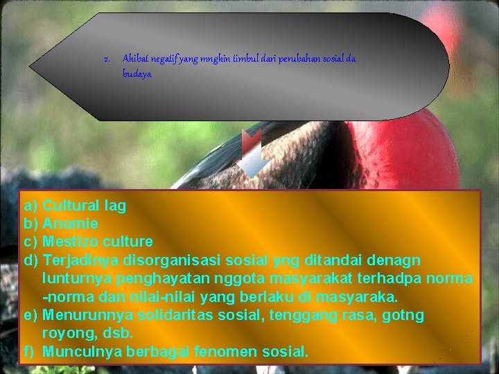 2. Akibat negatif yang mngkin timbul dari perubahan sosial da budaya a) Cultural lag