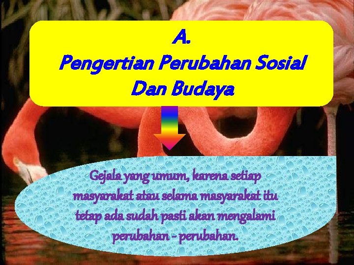 A. Pengertian Perubahan Sosial Dan Budaya Gejala yang umum, karena setiap masyarakat atau selama