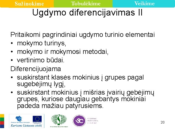 Sužinokime Ugdymo diferencijavimas II Pritaikomi pagrindiniai ugdymo turinio elementai • mokymo turinys, • mokymo