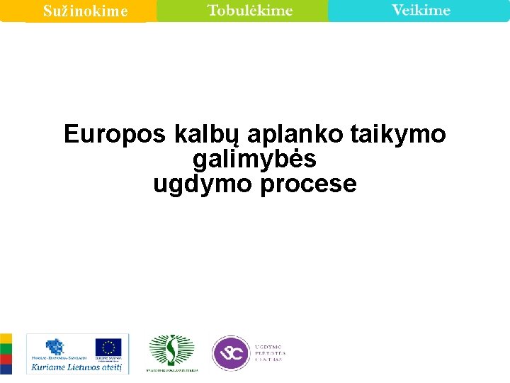 Sužinokime Europos kalbų aplanko taikymo galimybės ugdymo procese 