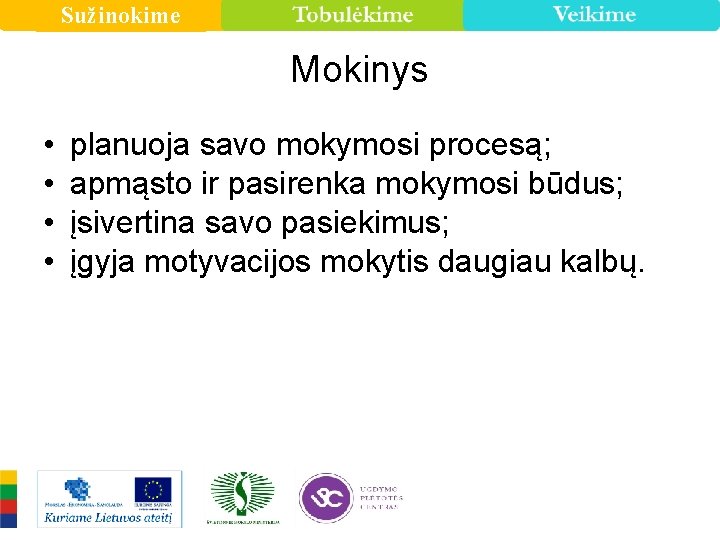 Sužinokime Mokinys • • planuoja savo mokymosi procesą; apmąsto ir pasirenka mokymosi būdus; įsivertina