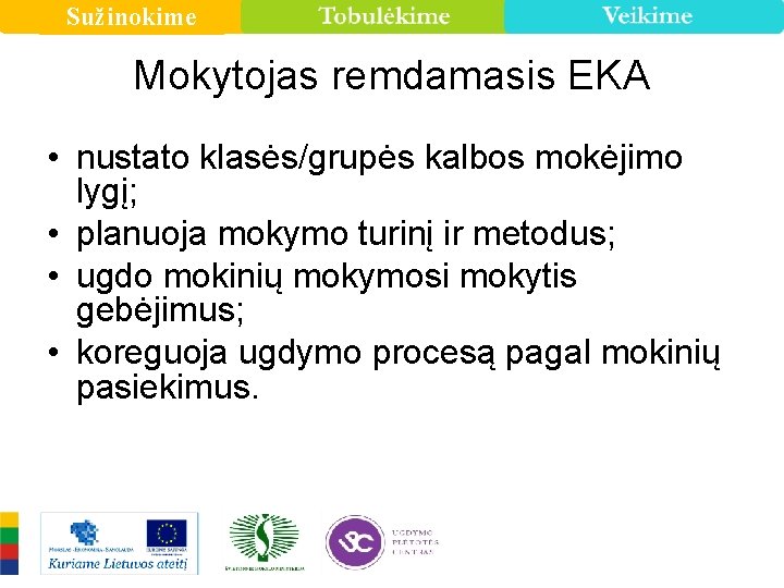 Sužinokime Mokytojas remdamasis EKA • nustato klasės/grupės kalbos mokėjimo lygį; • planuoja mokymo turinį