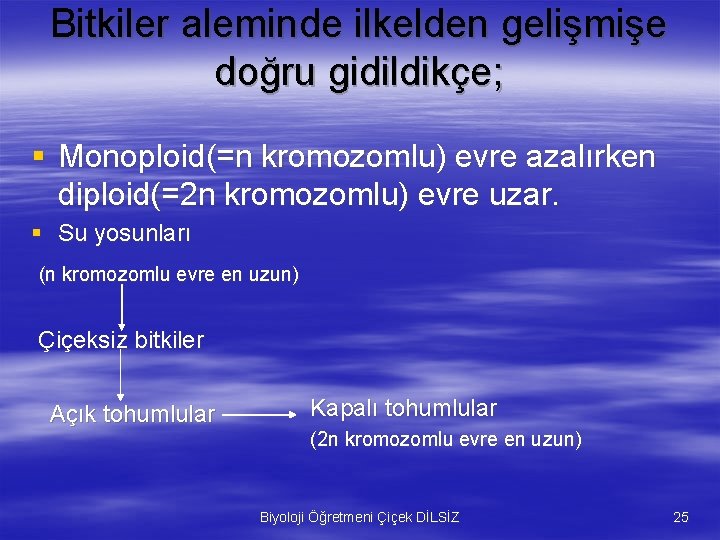 Bitkiler aleminde ilkelden gelişmişe doğru gidildikçe; § Monoploid(=n kromozomlu) evre azalırken diploid(=2 n kromozomlu)