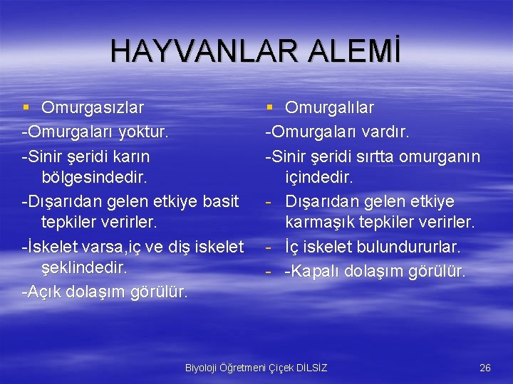 HAYVANLAR ALEMİ § Omurgasızlar -Omurgaları yoktur. -Sinir şeridi karın bölgesindedir. -Dışarıdan gelen etkiye basit