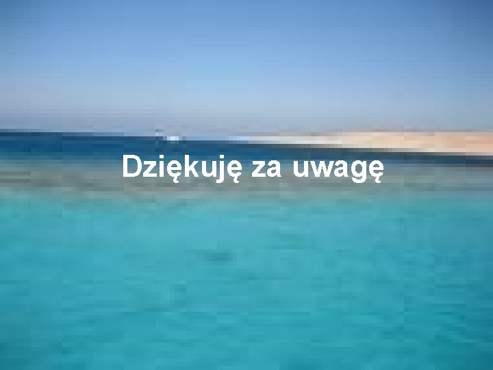 Dziękuję za uwagę 