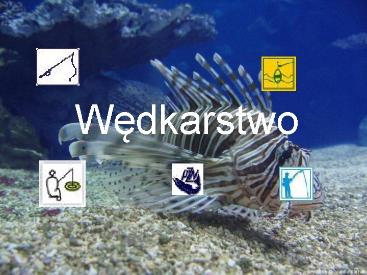 Wędkarstwo 