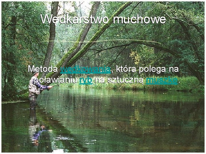 Wędkarstwo muchowe Metoda wędkowania, która polega na poławianiu ryb na sztuczną muszkę. 