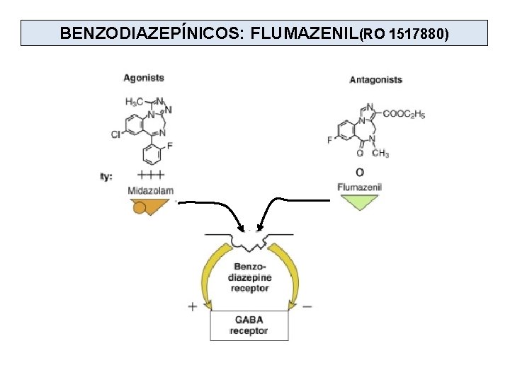 BENZODIAZEPÍNICOS: FLUMAZENIL(RO 1517880) 