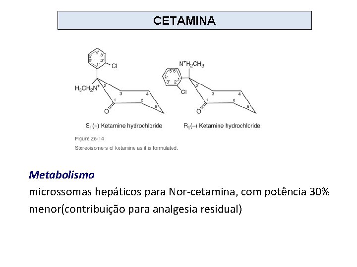 CETAMINA Metabolismo microssomas hepáticos para Nor-cetamina, com potência 30% menor(contribuição para analgesia residual) 