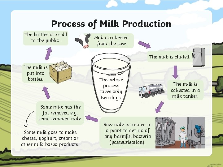 Process of Milk Production The bottles are sold to the public. Milk is collected