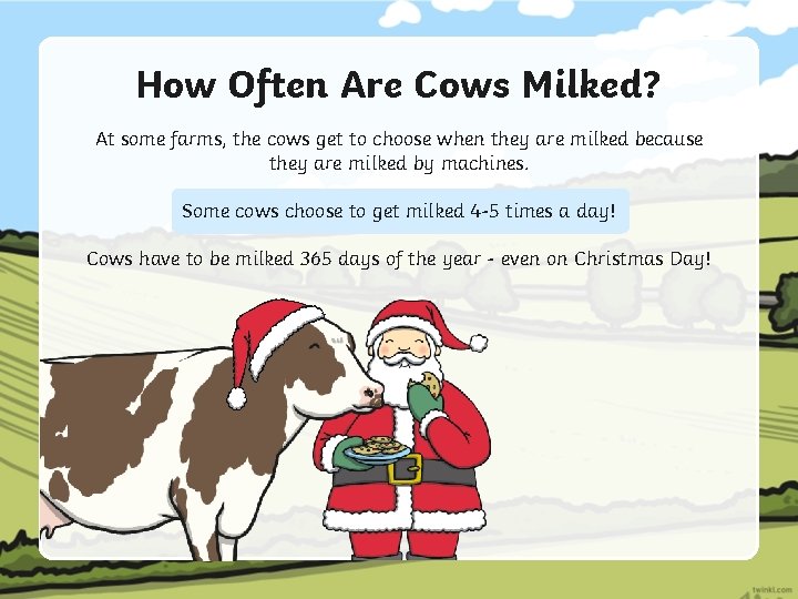 How Often Are Cows Milked? At some farms, the cows get to choose when