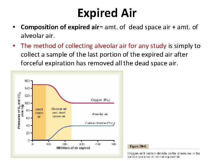 Expired Air • Composition of expired air= amt. of dead space air + amt.