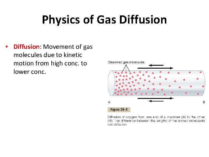 Physics of Gas Diffusion • Diffusion: Movement of gas molecules due to kinetic motion