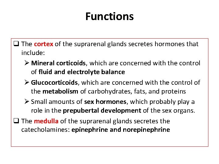 Functions q The cortex of the suprarenal glands secretes hormones that include: Ø Mineral