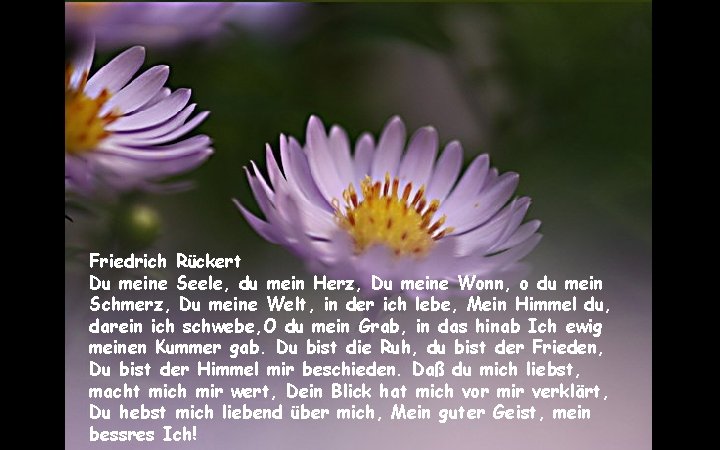 Friedrich Rückert Du meine Seele, du mein Herz, Du meine Wonn, o du mein