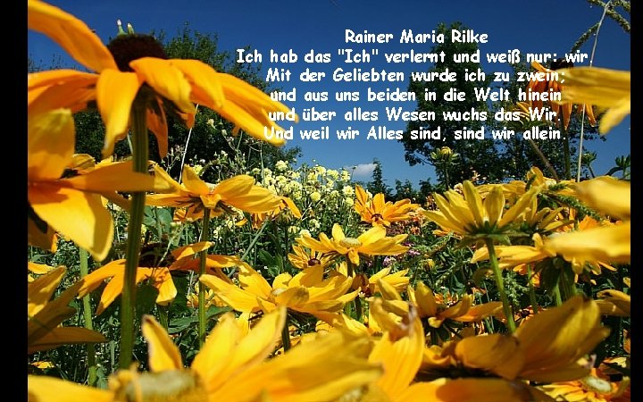 Rainer Maria Rilke Ich hab das "Ich" verlernt und weiß nur: wir. Mit der