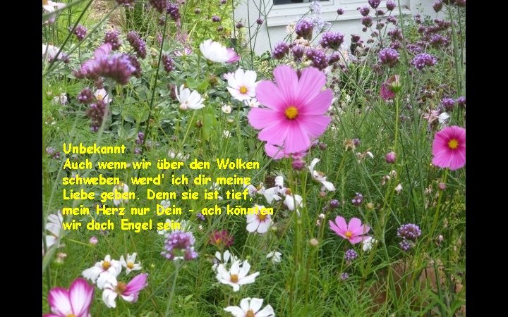Unbekannt Auch wenn wir über den Wolken schweben, werd' ich dir meine Liebe geben.