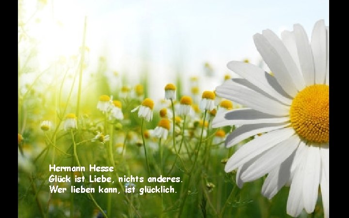 Hermann Hesse Glück ist Liebe, nichts anderes. Wer lieben kann, ist glücklich. 