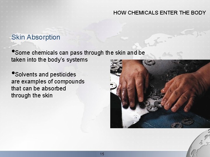 HOW CHEMICALS ENTER THE BODY Skin Absorption • Some chemicals can pass through the