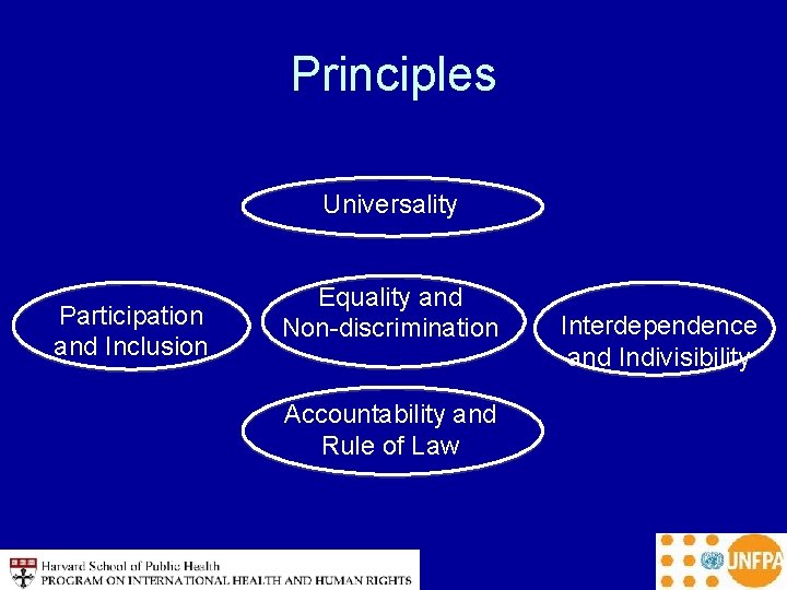 Principles Universality Participation and Inclusion Equality and Non-discrimination Accountability and Rule of Law Interdependence