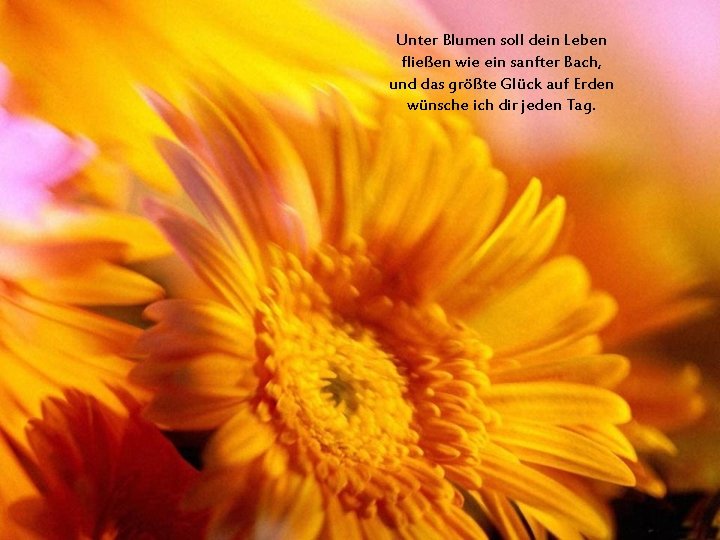 Unter Blumen soll dein Leben fließen wie ein sanfter Bach, und das größte Glück