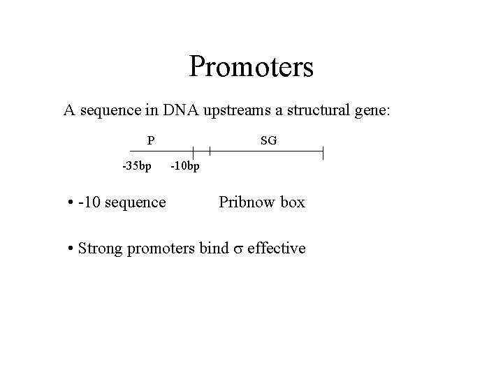 Promoters A sequence in DNA upstreams a structural gene: P -35 bp • -10